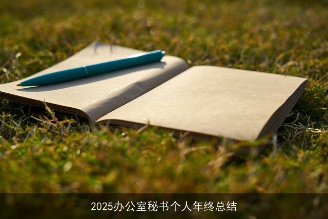 2025办公室秘书个人年终总结