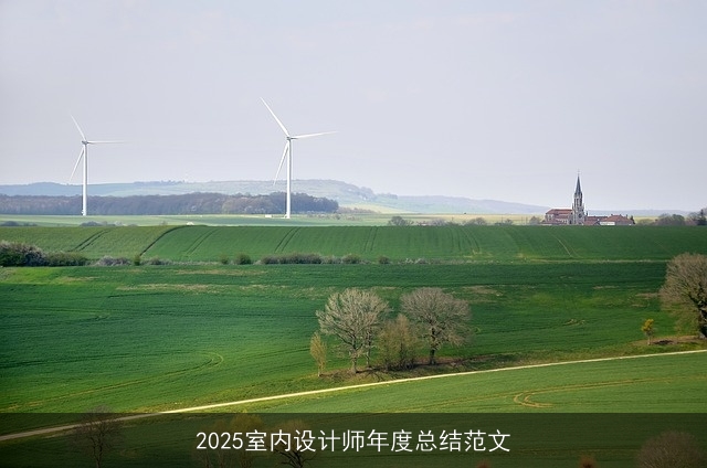 2025室内设计师年度总结范文