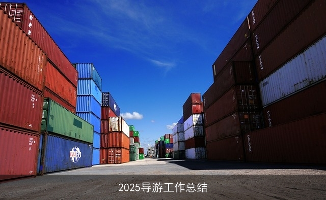 2025导游工作总结