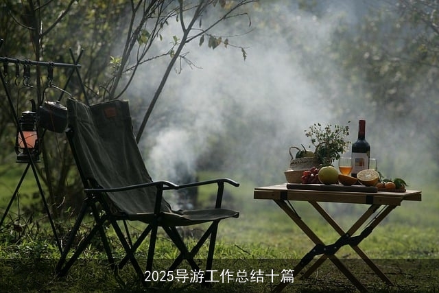 2025导游工作总结十篇