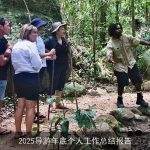 2025导游年底个人工作总结报告