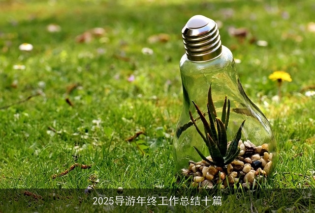 2025导游年终工作总结十篇