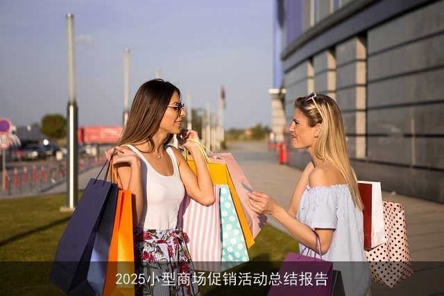 2025小型商场促销活动总结报告