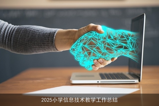 2025小学信息技术教学工作总结