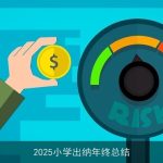 2025小学出纳年终总结