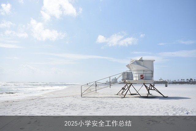 2025小学安全工作总结