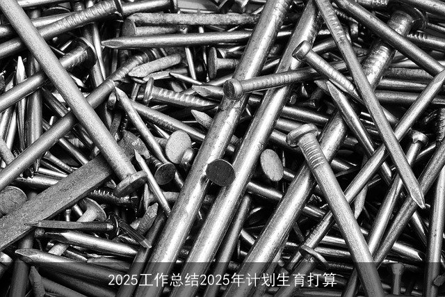 2025工作总结2025年计划生育打算