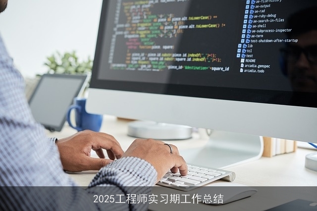 2025工程师实习期工作总结
