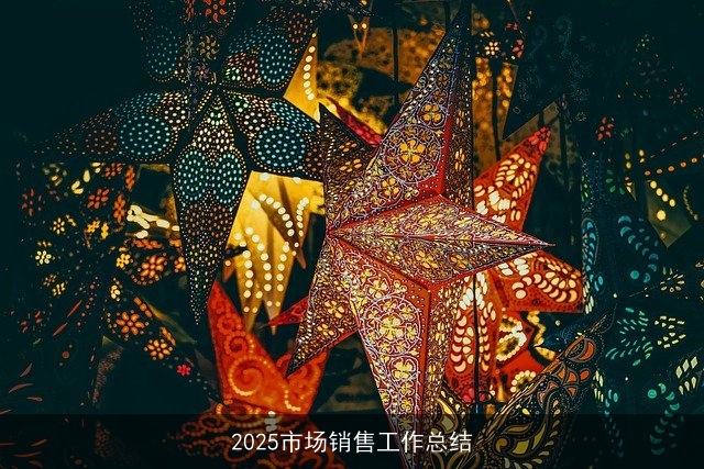 2025市场销售工作总结