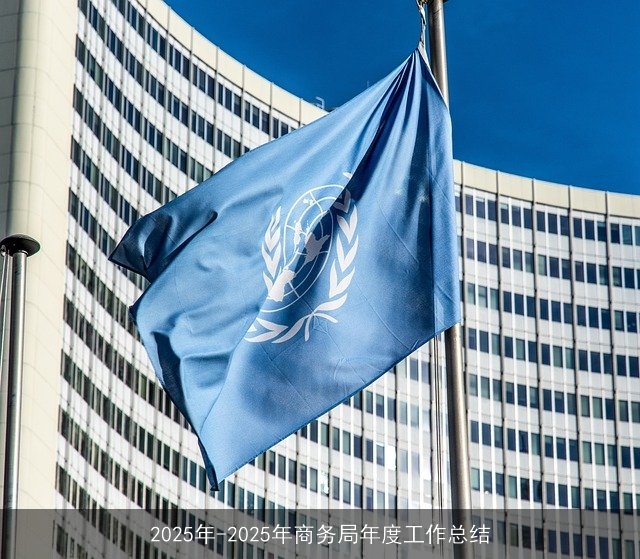 2025年-2025年商务局年度工作总结