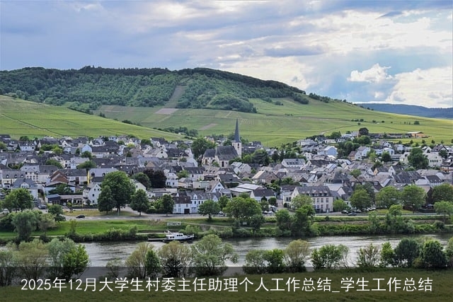 2025年12月大学生村委主任助理个人工作总结_学生工作总结