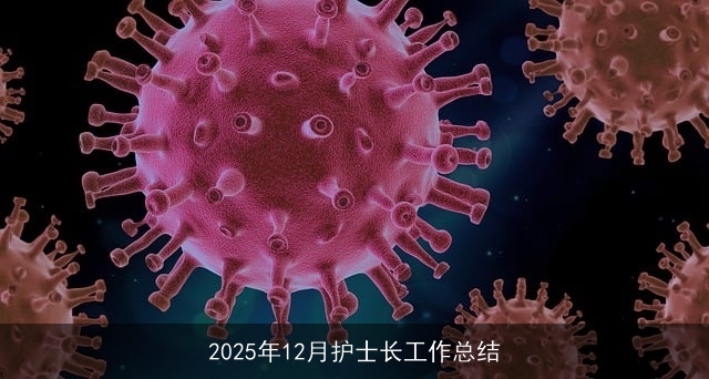 2025年12月护士长工作总结