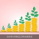 2025年3月转正工作总结范文