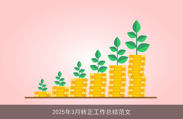 2025年3月转正工作总结范文