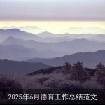 2025年6月德育工作总结范文
