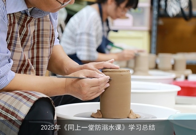 2025年《同上一堂防溺水课》学习总结