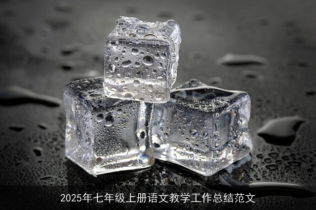 2025年七年级上册语文教学工作总结范文