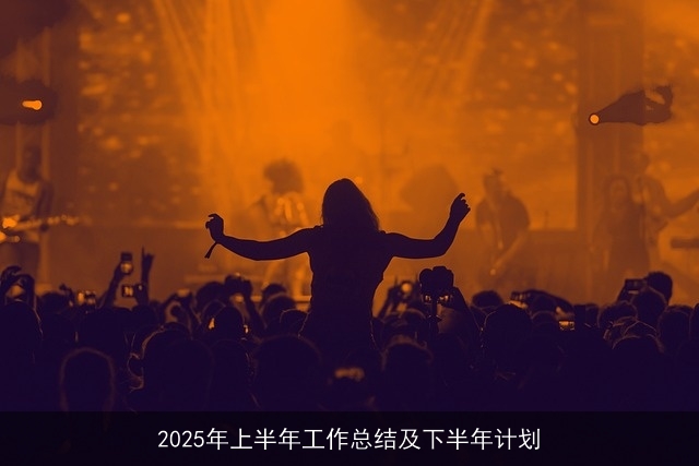 2025年上半年工作总结及下半年计划
