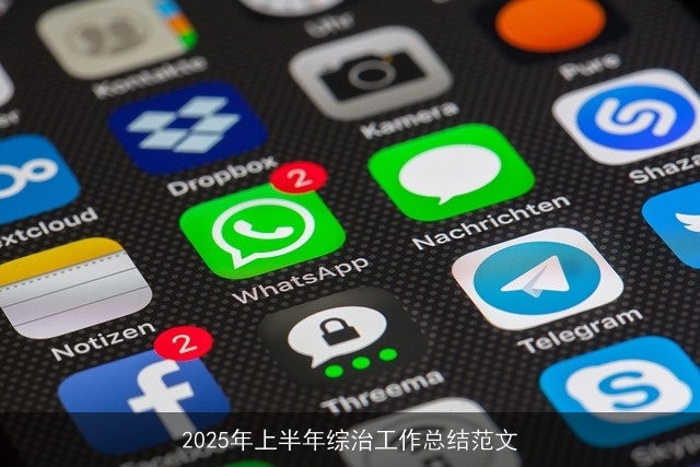 2025年上半年综治工作总结范文