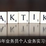 2025年业务员个人业务实习报告