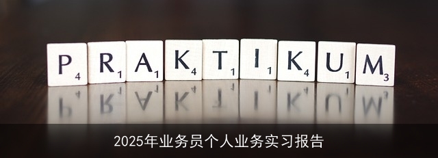 2025年业务员个人业务实习报告