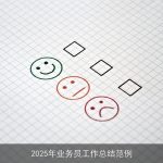 2025年业务员工作总结范例