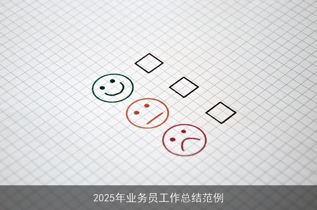 2025年业务员工作总结范例