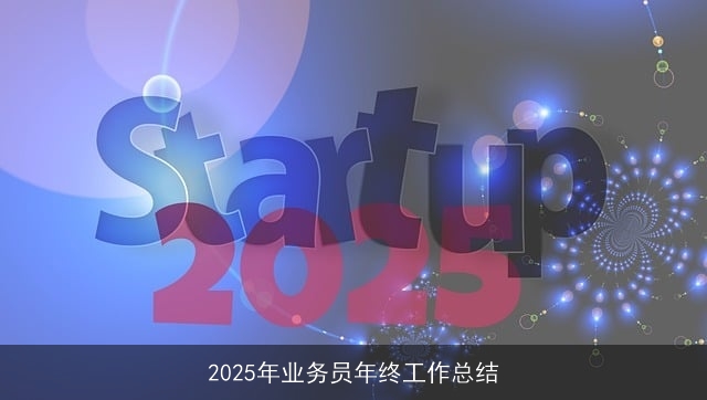 2025年业务员年终工作总结