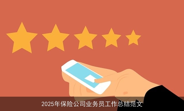 2025年保险公司业务员工作总结范文
