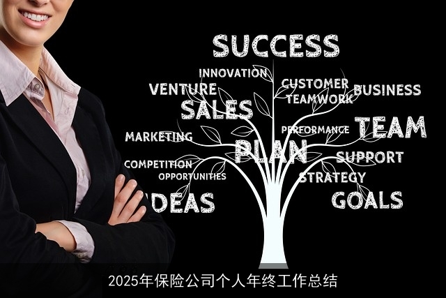 2025年保险公司个人年终工作总结