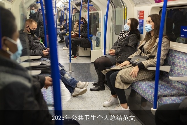 2025年公共卫生个人总结范文