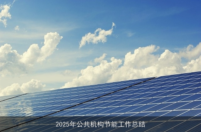 2025年公共机构节能工作总结