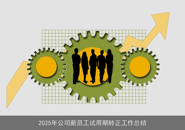 2025年公司新员工试用期转正工作总结