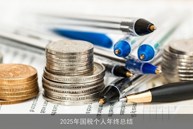 2025年国税个人年终总结