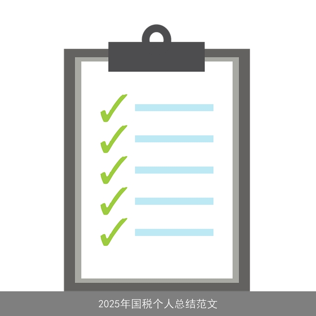 2025年国税个人总结范文