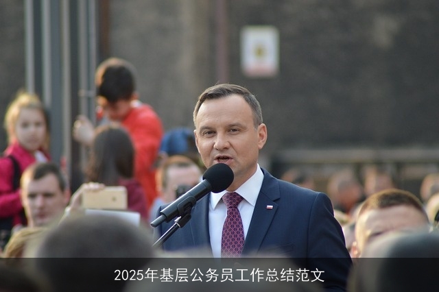 2025年基层公务员工作总结范文