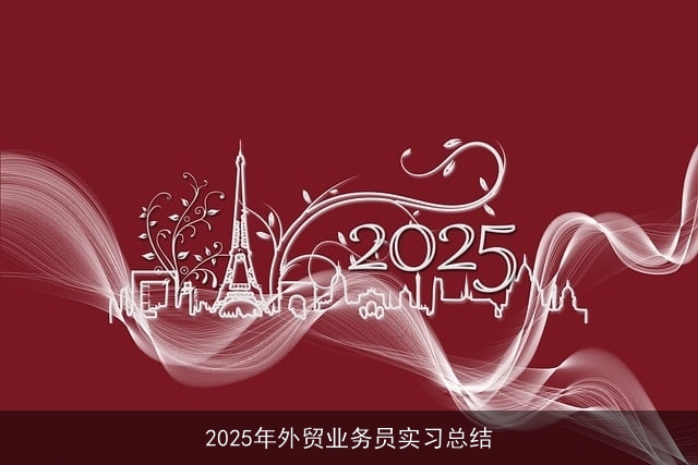 2025年外贸业务员实习总结