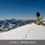 2025年大一期末学习总结