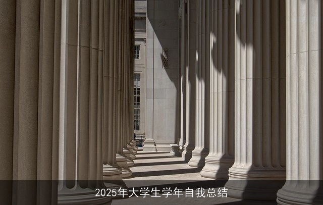2025年大学生学年自我总结