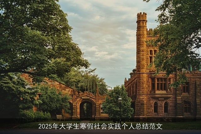 2025年大学生寒假社会实践个人总结范文
