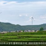 2025年大学生暑期实践总结_综合实践活动总结