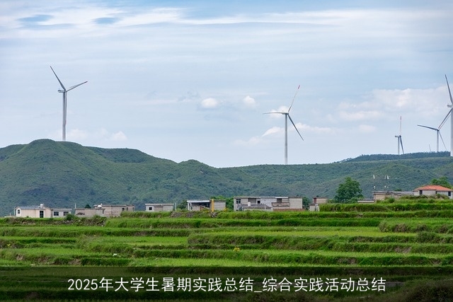 2025年大学生暑期实践总结_综合实践活动总结