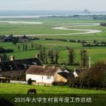 2025年大学生村官年度工作总结