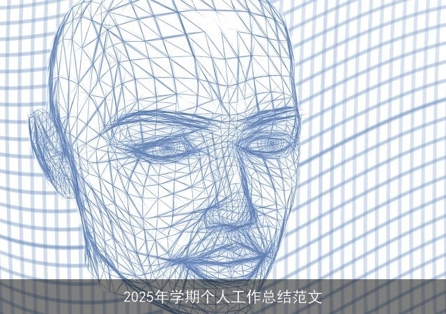2025年学期个人工作总结范文