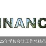 2025年学校会计工作总结范文