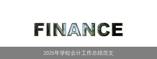 2025年学校会计工作总结范文