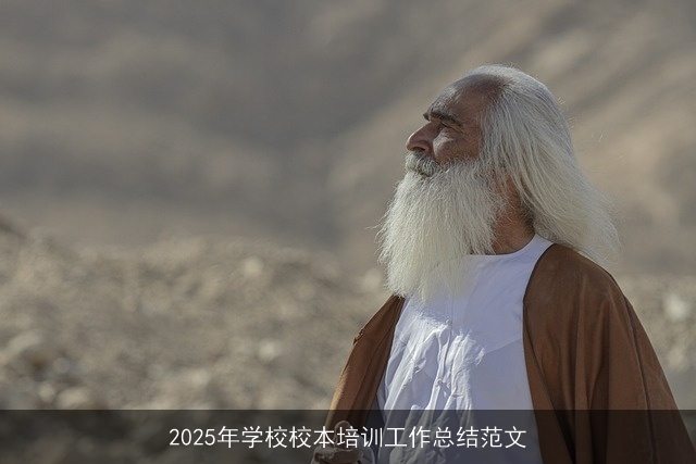 2025年学校校本培训工作总结范文