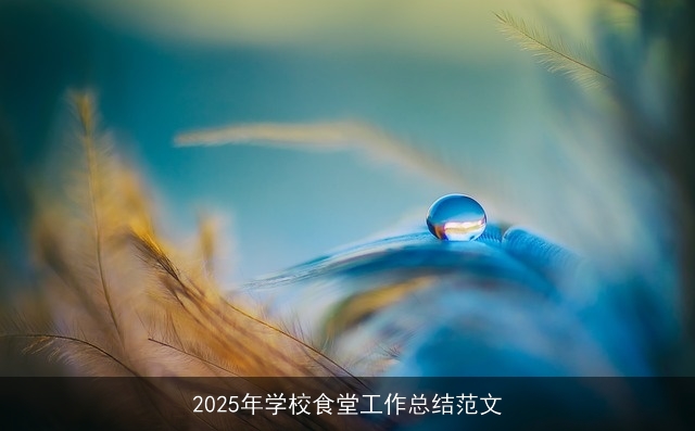 2025年学校食堂工作总结范文