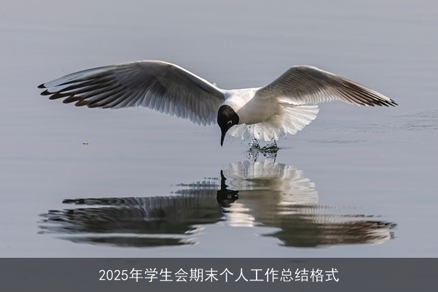2025年学生会期末个人工作总结格式