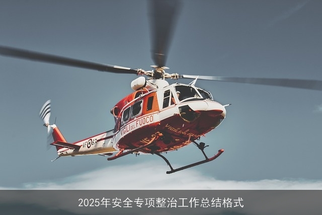 2025年安全专项整治工作总结格式